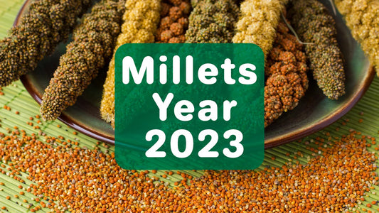 International year of millets 2023: Promoting the Power of Nutritious Grain
