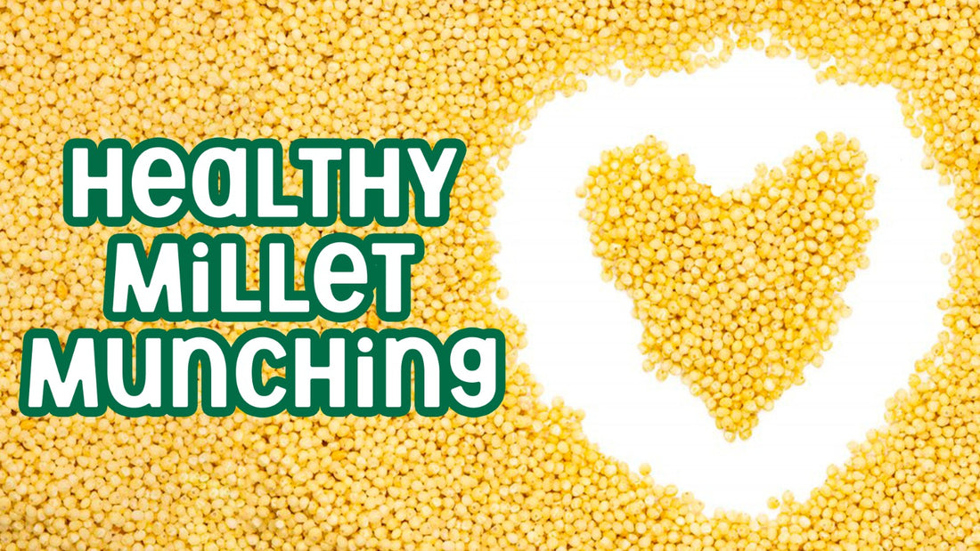 How Healthy Snacking Can Make A Difference: Healthy Millet Munching